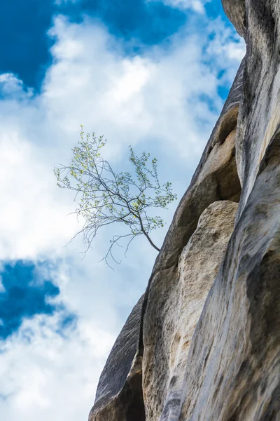 Spectacular Rocks with sky in background — Stock Photo, Image