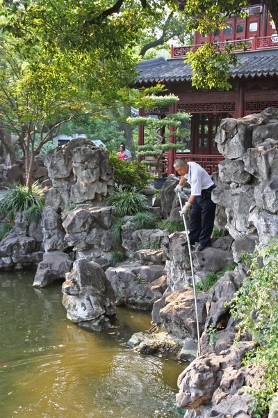 Садовник чистки пруда в Юйюань сады, Шанхай, Китай — стоковое фото
