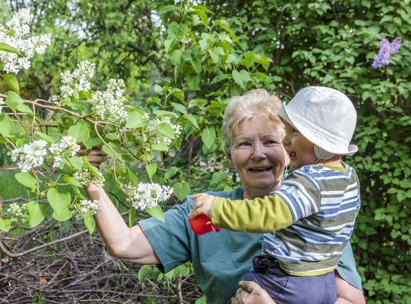 Abuela muestra flores florecientes a su nieto en un g —  Fotos de Stock