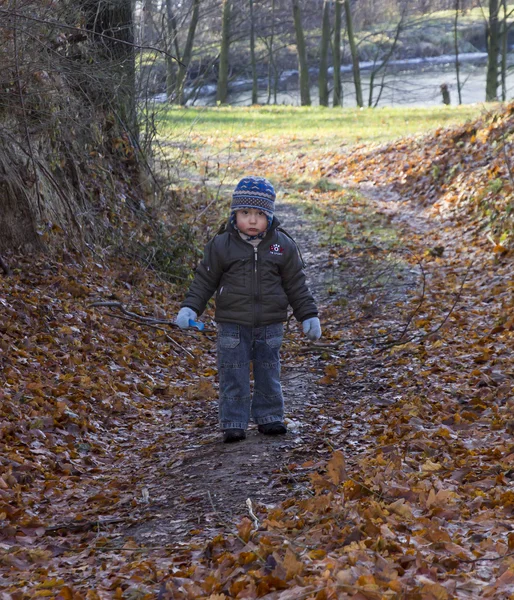 Pequeño niño con cara triste, posiblemente perdido camina por un sendero forestal —  Fotos de Stock