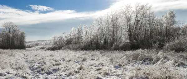 Foto panorámica del espectacular paisaje invernal — Foto de Stock