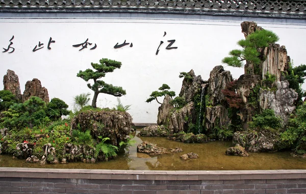 Bella disposizione bonsai — Foto Stock