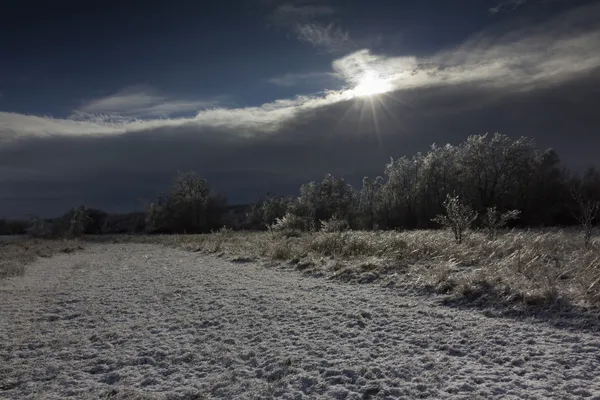 Karanlık kış manzarası — Stok fotoğraf