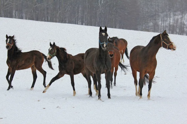 Peinture à l'huile photo stylisée de chevaux dansant dans la neige — Photo