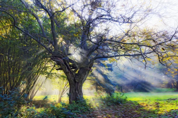 Oil painting stylized photo of shiny tree Stock Photo