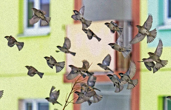 Serçeler, yağlı boya Stilizasyon bulutu — Stok fotoğraf