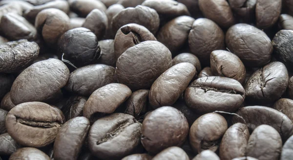 Coffee beans — Stock Photo, Image