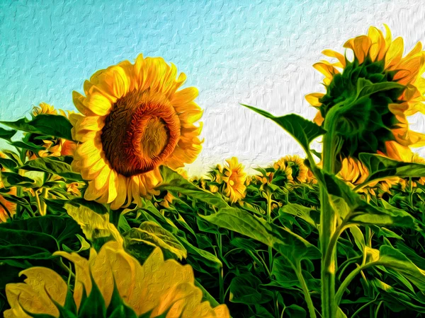 Соняшники картина маслом ілюстрація фону — стокове фото