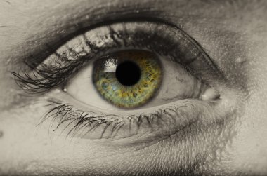 yaşlı kadının gözü yeşil izole makro