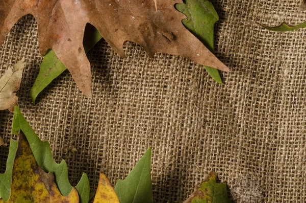 çerçeve sonbahar yaprakları ve çuval bezi arka plan, metin, kopyalama alanı boş alan