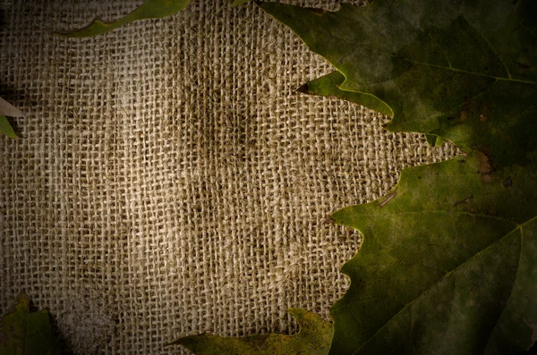 çerçeve sonbahar yaprakları ve çuval bezi arka plan, metin, kopyalama alanı boş alan