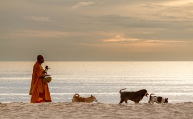 Prachuabkhirikhan, Tayland - Eylül 22,2012: sabah sadaka Tay rahipler, yuvarlak üç köpek ile sahilde