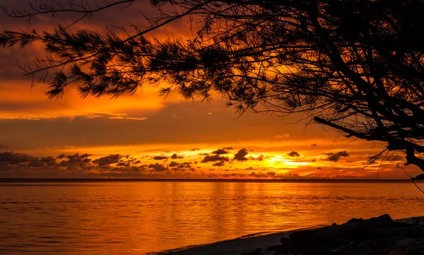 Sonnenaufgang im tropischen Meer mit Bäumen und Wolken — Stockfoto