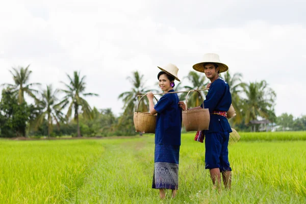 Agricultor tailandés en campos de arroz — Foto de Stock