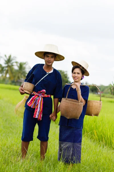 Thai farmer on rice fields — Stock Photo, Image