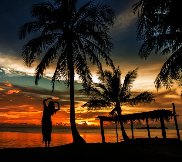 Gazebo tropical incrível praia com coqueiro — Fotografia de Stock