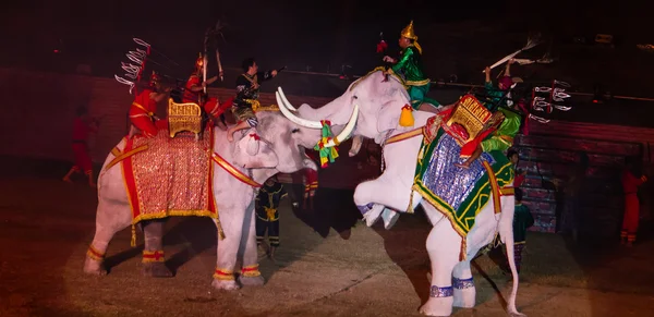 Ayutthaya Ligth & Sound Presentación y actuación histórica tailandesa — Foto de Stock