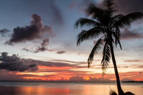 Tropischer Strand mit Kokospalmen (vom Wind bewegt) vor silluatem Hintergrund — Stockfoto