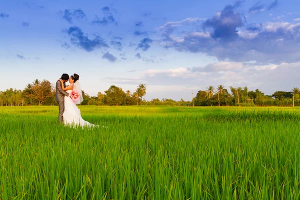 Casamento casal abraçando um ao outro momento de alegria — Fotografia de Stock