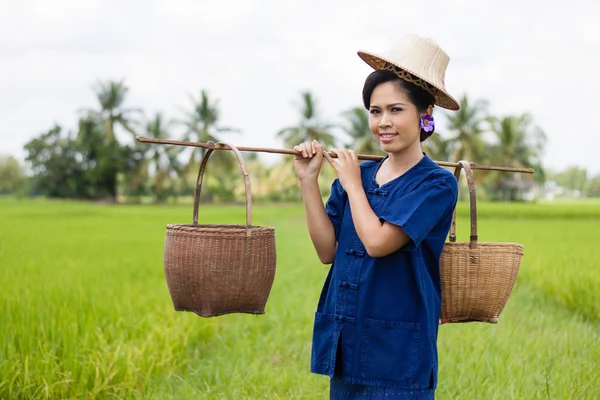 Femme en costume de fermier sur les rizières — Photo