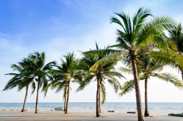Palmiye ağaçları ile gözlerden uzak, egzotik ve güzel plaj — Stok fotoğraf