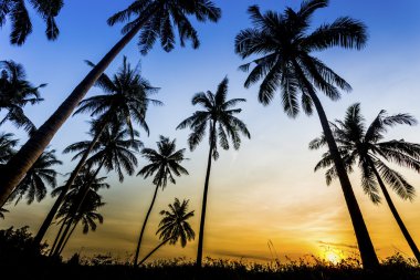Karayip sahilinde gün batımı