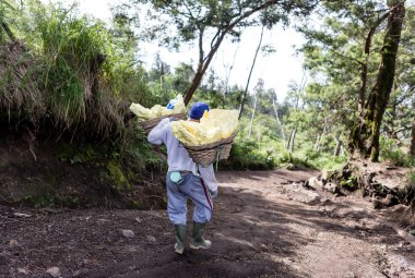 işçi kükürt krater içine taşır