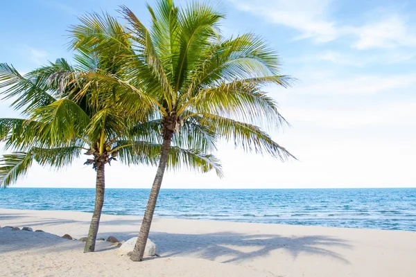 Bella spiaggia e mare tropicale — Foto Stock