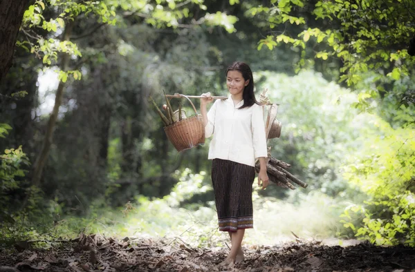 Asiatisk kvinna som arbetar i regnskogen — Stockfoto