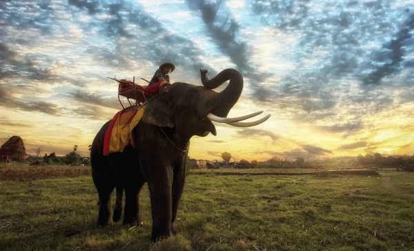 Puesta de sol campo tailandés en Tailandia —  Fotos de Stock