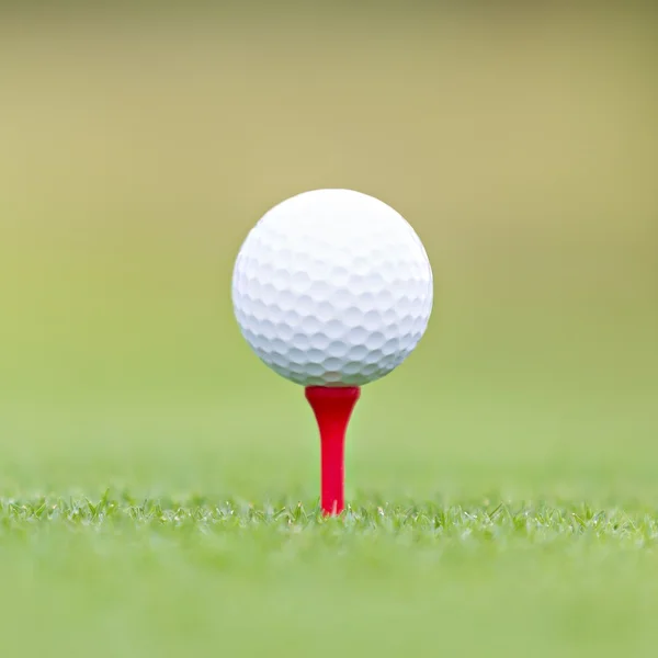 Närbild av golfboll på tee — Stockfoto