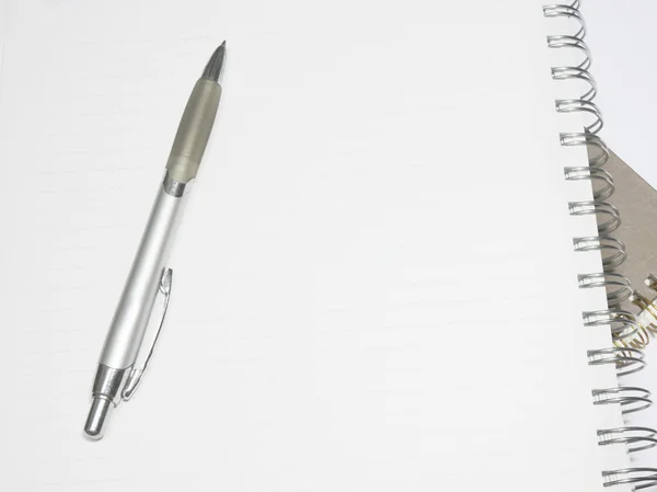 Penna med anteckningar — Stockfoto