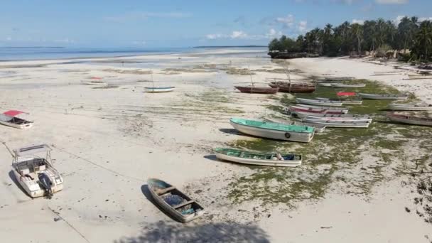 海の水の流出 ボートZanzibarの土地に立つ インド洋の海岸近くの水の上に古い木のボート — ストック動画