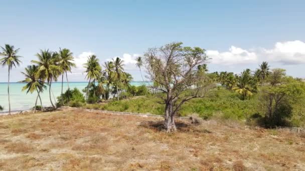 Drone Flight Car Car Rental Zanzibar Island Baobab Island Zanzibar — Video Stock