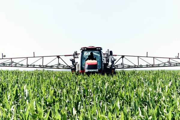 Zelfrijdend Sproeiapparaat Sproeit Groene Maïs Aan Voorkant Van Het Veld — Stockfoto