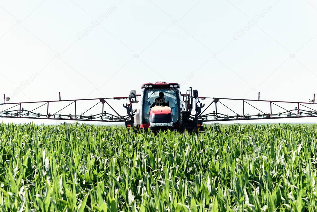 Self-propelled sprayer sprays green corn on the field front view from the side.