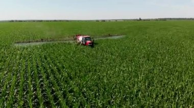 Bir traktör püskürtücü tarlaya mısır püskürtür. 4K İHA 'dan ateş ediliyor. Tarımsal bir alana kimyasal gübre serpmek