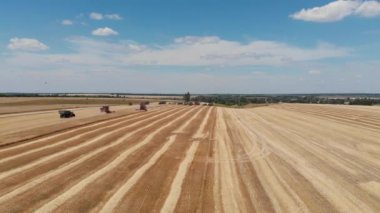Hasat makinası tarlada tahıl topluyor, drone görüşü. Hasat makinesini birleştirin. Tarım tarlasında hasat makinesiyle buğday hasat etmek, yukarıdan seyretmek..
