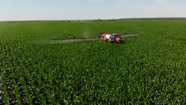 Tractor Sprayer Sprays Corn Field Shooting Drone Spraying Chemical Fertilizers — Stock video