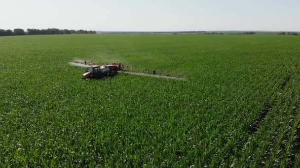 Tractor Sprayer Sprays Corn Field Shooting Drone Spraying Chemical Fertilizers — Stock Video