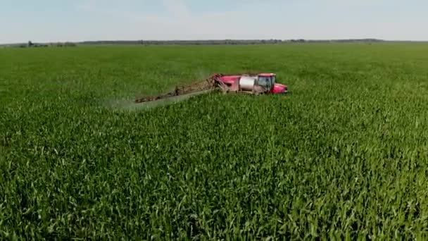 Traktorový Postřikovač Rozstřikuje Kukuřici Poli Střílí Dronu Postřik Chemických Hnojiv — Stock video