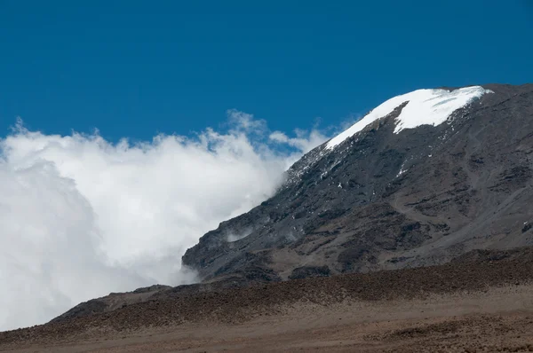 Kilimanjao i skyer - Stock-foto