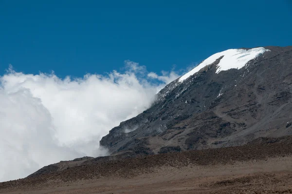 Kilimanjao in clouds — Stock Photo, Image