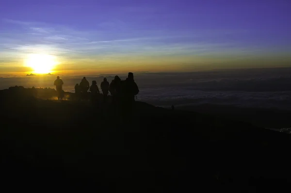 Trekkers op kilimanjaro bij zonsopgang — Stockfoto