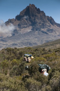 Kilimanjaro Dağı üzerinde Moorland geçerken hamallar