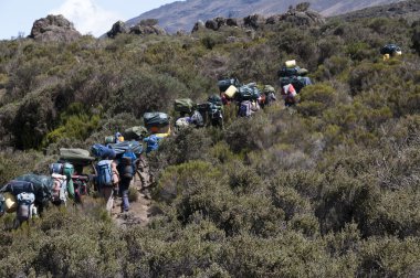 hamallar Kilimanjaro'nun grubu