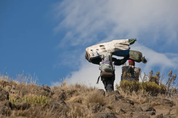 Kilimangiaro Porters — Foto Stock