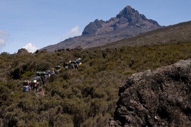hamallar moorland, mawenzi, Kilimanjaro Dağı