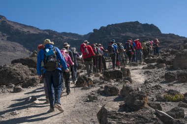 machame rota kilimanjaro üzerinde trekking grubu