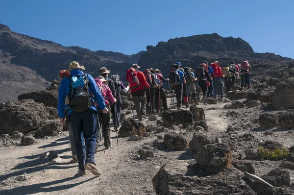 Trekking en grupo en la ruta Machame Kilimanjaro — Foto de Stock